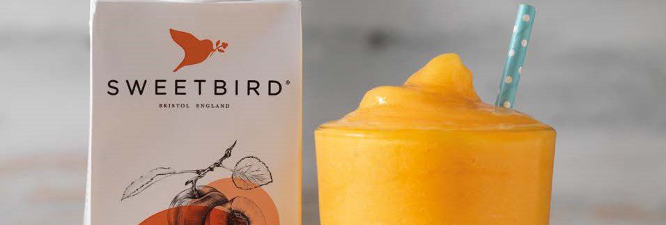 The Best Smoothie Blender…?